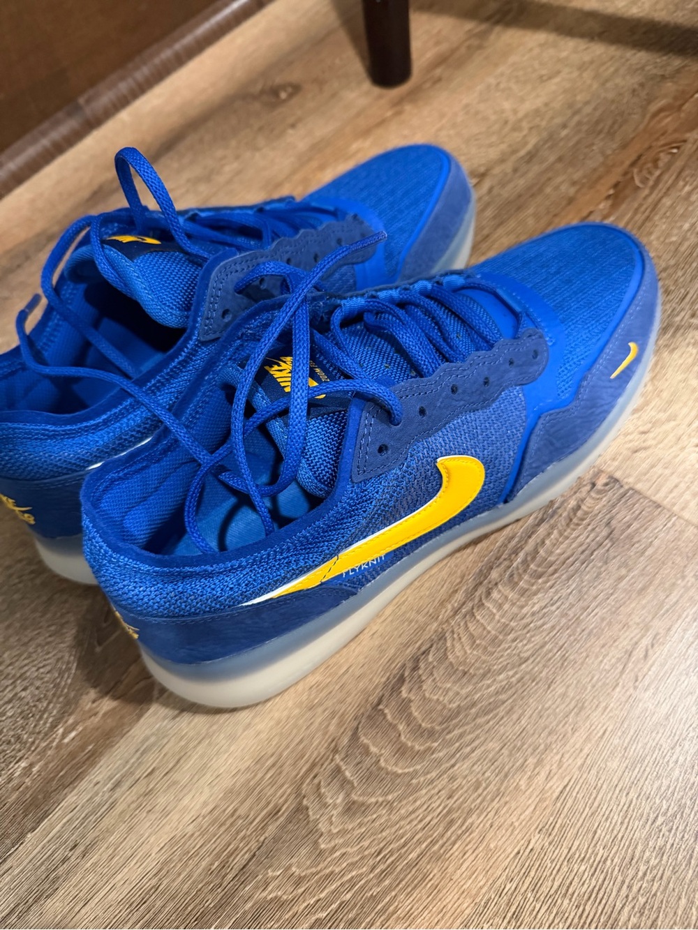 Nike Royal Blue Skate Sneakers with Gold Logo